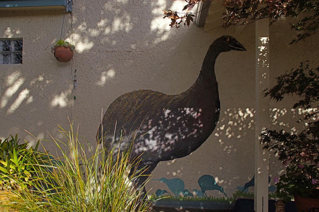 Arden Street House Bed & Breakfast Dunedin Exterior photo