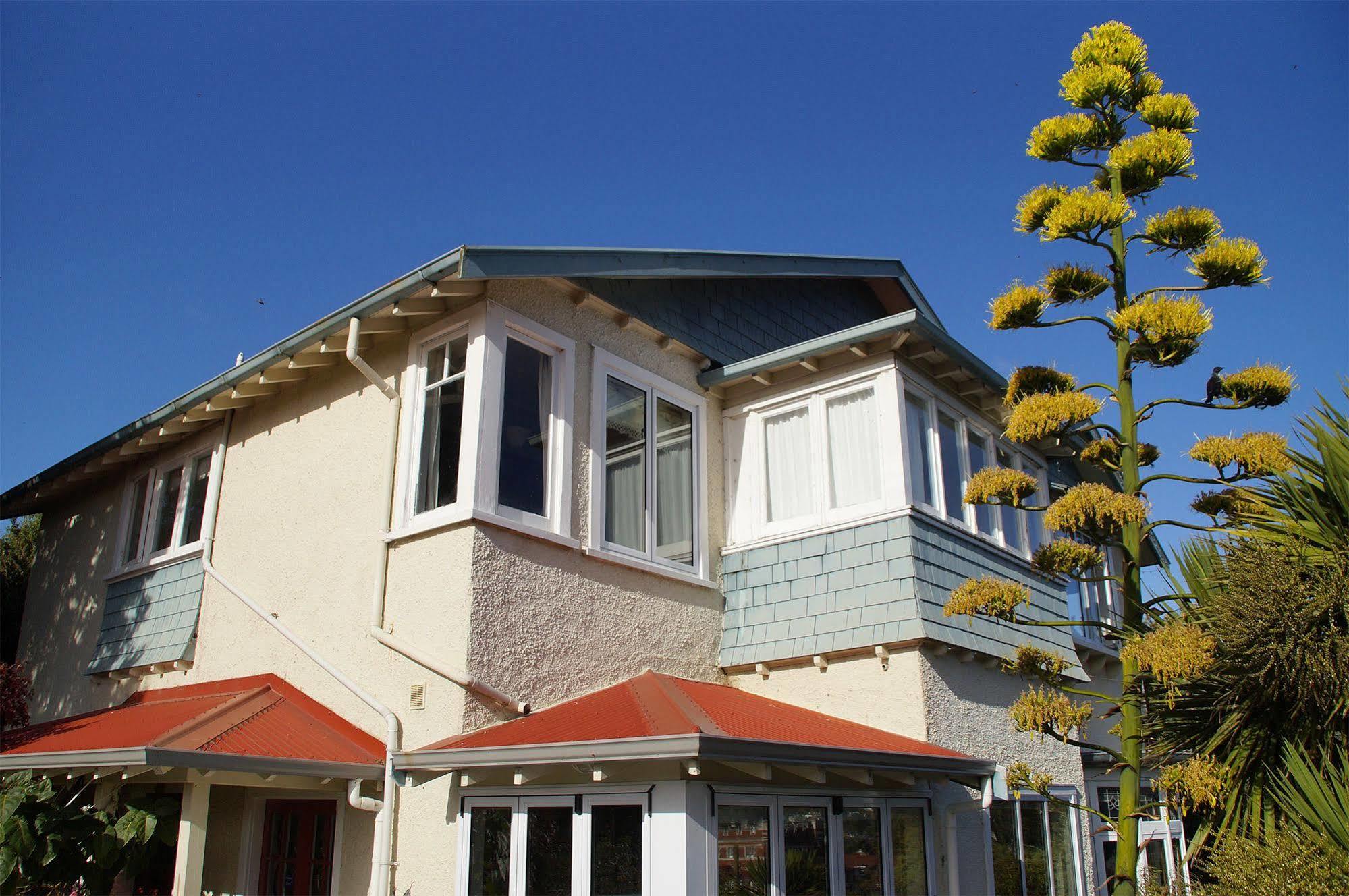 Arden Street House Bed & Breakfast Dunedin Exterior photo