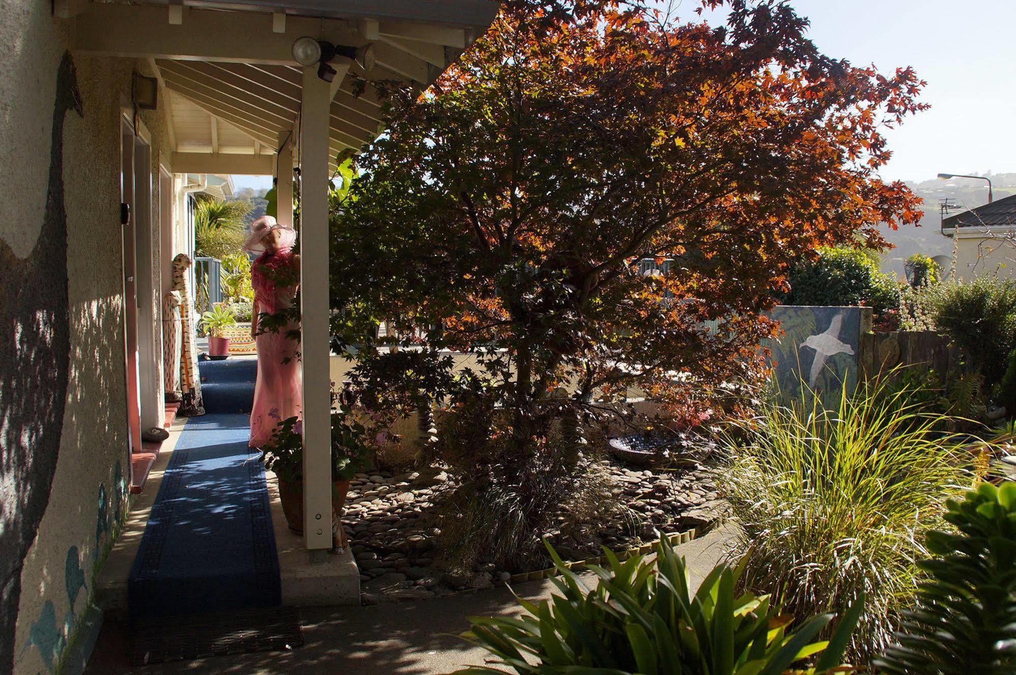 Arden Street House Bed & Breakfast Dunedin Exterior photo